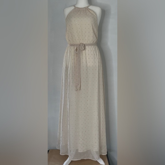 ModCloth Illuminated Elegance Chiffon Sleeveless Maxi Dress Size Medium - Picture 1 of 11